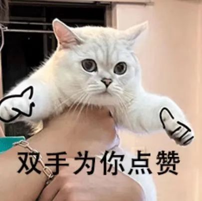 东升国际官网-相信品牌力量